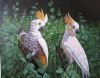 bird-painting-085