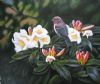 bird-painting-087