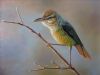 bird-painting-095
