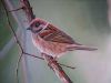 bird-painting-108