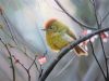 bird-painting-109