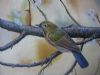 bird-painting-127