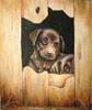 Dog-12