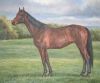 horse-painting-036