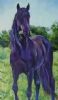 horse-painting-051