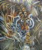 tiger-painting-005