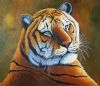 tiger-painting-031