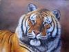 tiger-painting-033