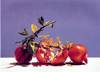 fruit-oil-painting-027