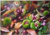 fruit-oil-painting-028