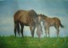 horse-painting