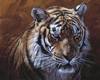 tiger-painting