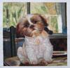 pet-portrait-oil-painting-2