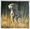 pet-portrait-oil-painting-3