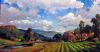 vineyard-painting-026