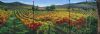 vineyard-painting-033