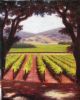 vineyard-painting-052