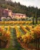 vineyard-painting-055