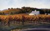 vineyard-painting-063