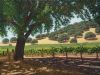vineyard-painting-082