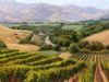 vineyard-painting-086