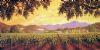 vineyard-painting-093